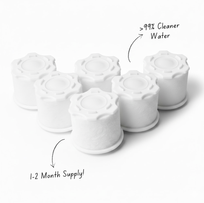 6x Cartridge Re-Fills